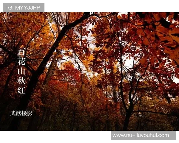 《通过一首歌了解足球明星的故事与人生轨迹》